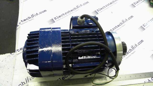 Demag Motor