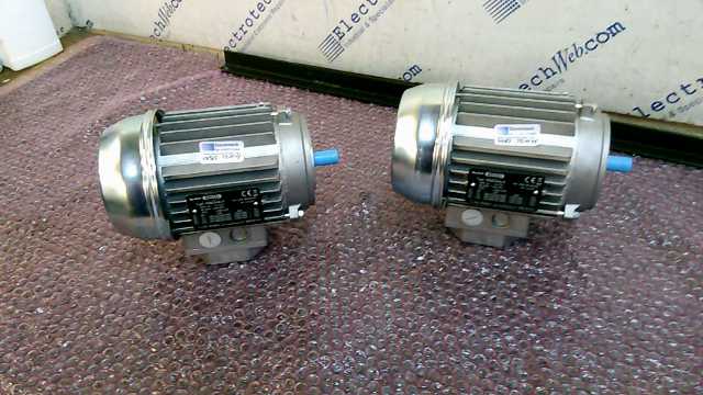 Motori Bonora Motor