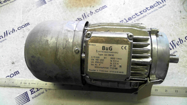 BuG Motor